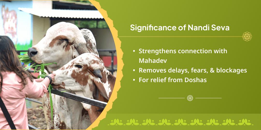 First Somwati Amavasya Mahakal Nagri Kashi Nandi Seva
