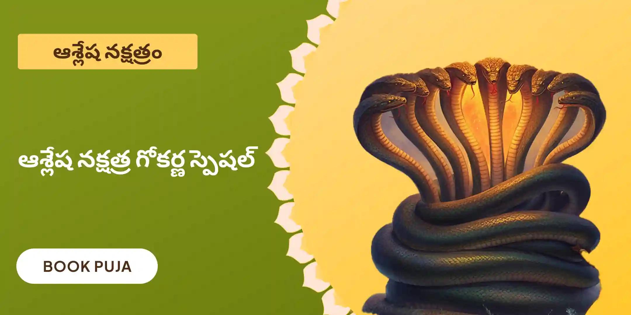 ఆశ్లేష నాగబలి పూజ