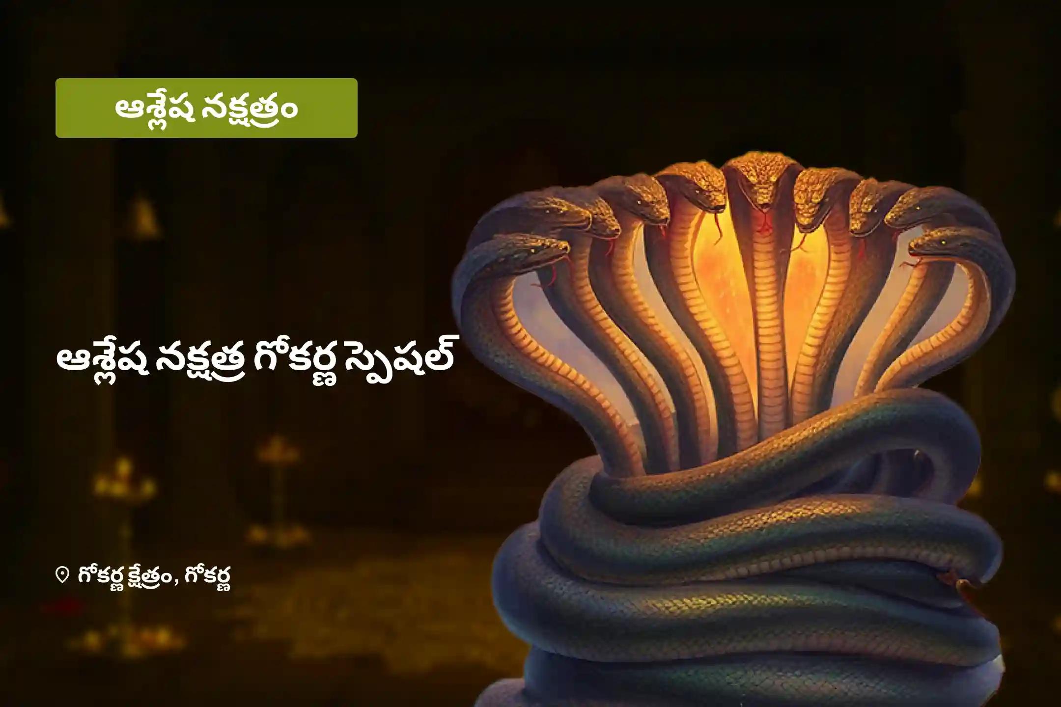 ఆశ్లేష నక్షత్రం మరియు స్కంద షష్ఠిల అరుదైన కలయిక ఆశ్లేష నాగబలి పూజ సర్ప (నాగ) దోషం యొక్క దుష్ప్రభావాలను నివారించి, కర్మ పాపాల ప్రక్షాళన చేసుకోవడం కొరకు