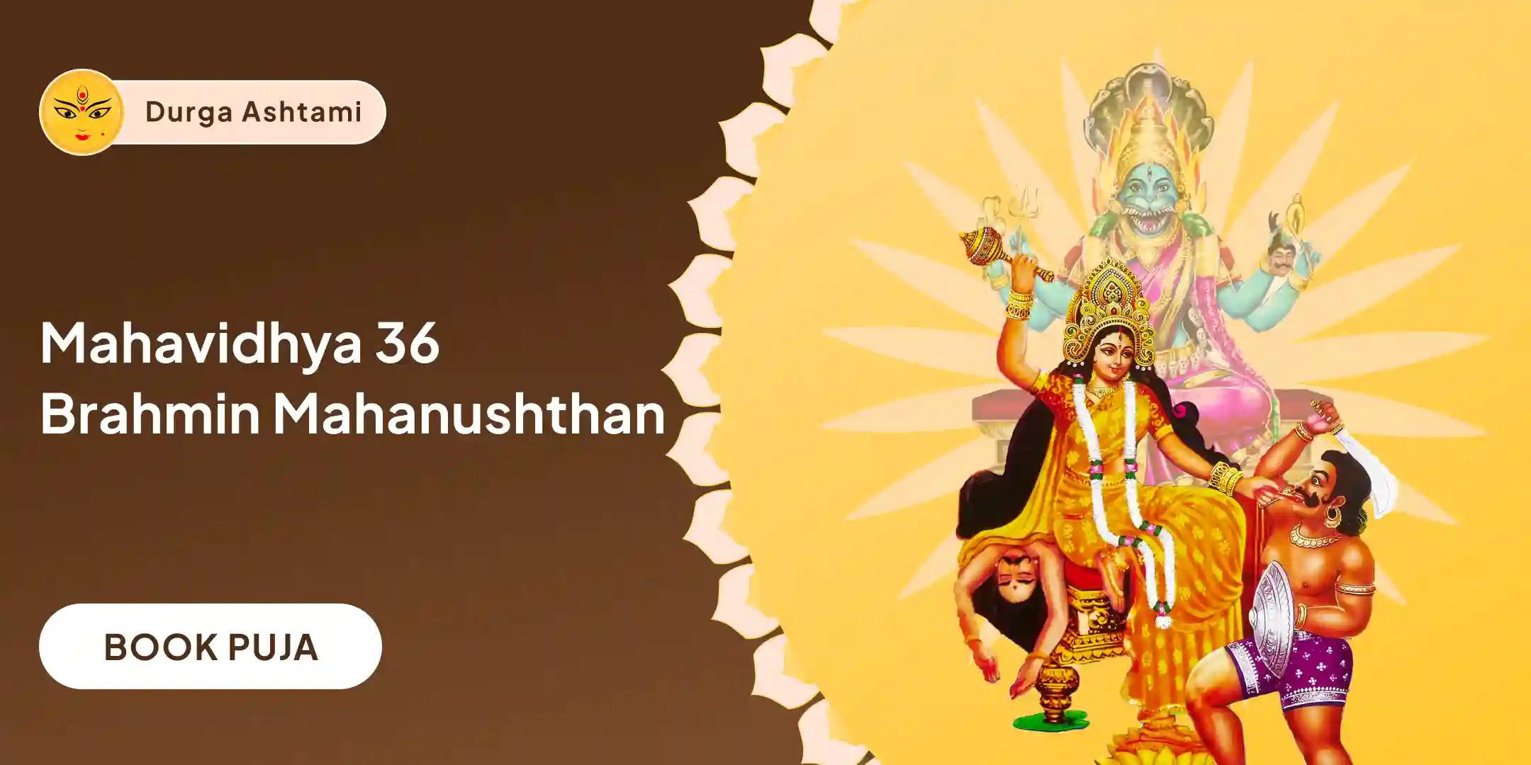 Bagalamukhi-Pratyangira Kavach Path, 1.25 Lakh Bagalamukhi Mool Mantra Jaap and Havan