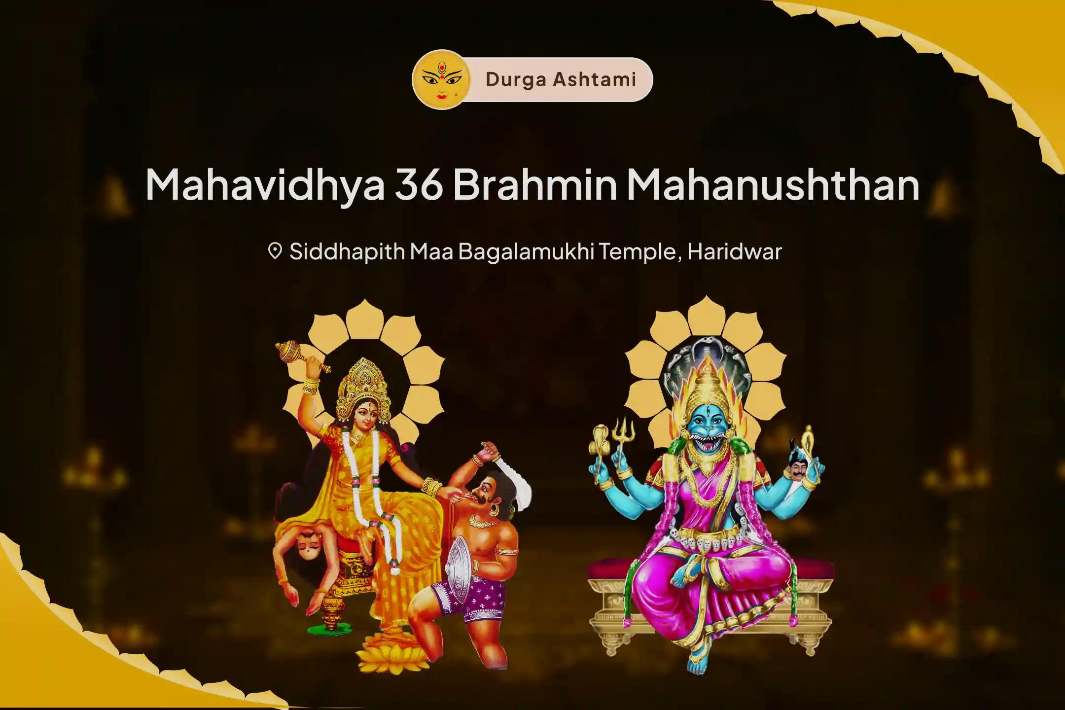 Durga Ashtami Mahavidya 36 Brahmin Maha Anushthan Bagalamukhi-Pratyangira Kavach Path, 1.25 Lakh Bagalamukhi Mool Mantra Jaap and Havan For Divine Protection and Release from Evil Energies