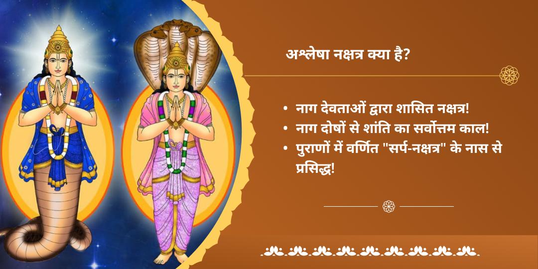 अश्लेषा नक्षत्र नाग दोष निवारण द्विमंदिर चढ़ावा