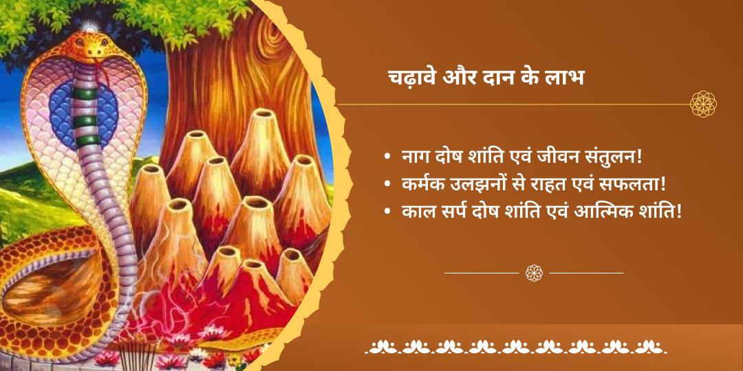 अश्लेषा नक्षत्र नाग दोष निवारण द्विमंदिर चढ़ावा