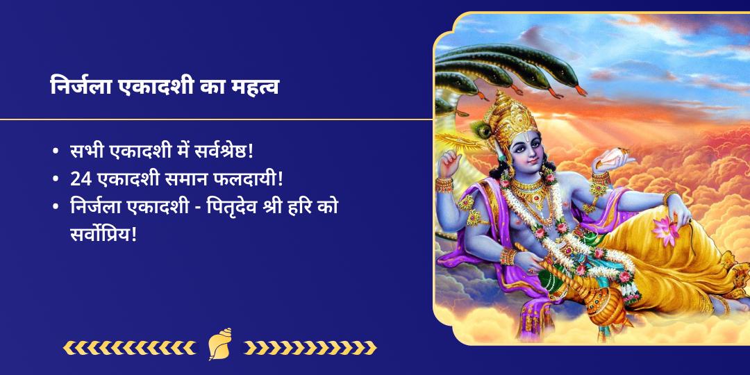 निर्जला एकादशी आर्थिक बाधा निवारण हवन आहुति दान