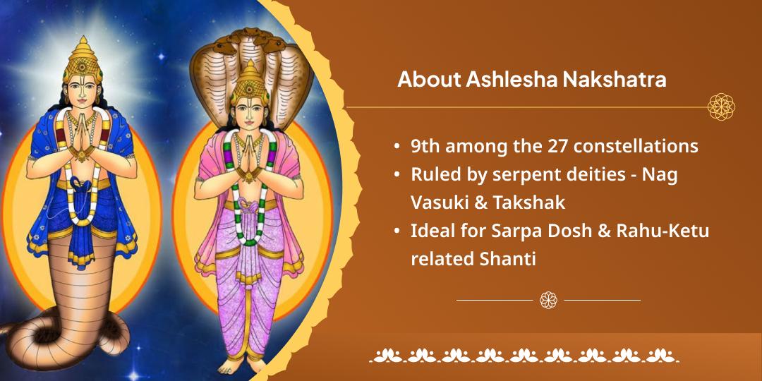 Ashlesha Nakshatra Naag Dosh Nivaran Dual Temple Chadhava
