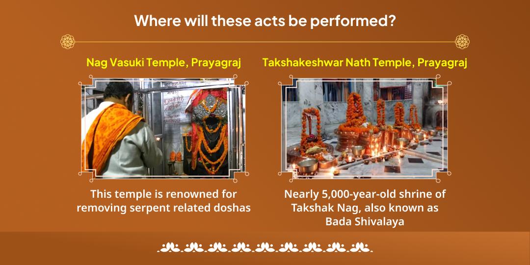 Ashlesha Nakshatra Naag Dosh Nivaran Dual Temple Chadhava