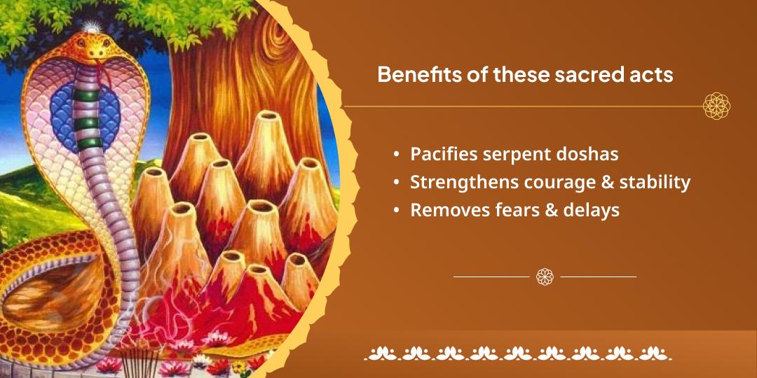 Ashlesha Nakshatra Naag Dosh Nivaran Dual Temple Chadhava