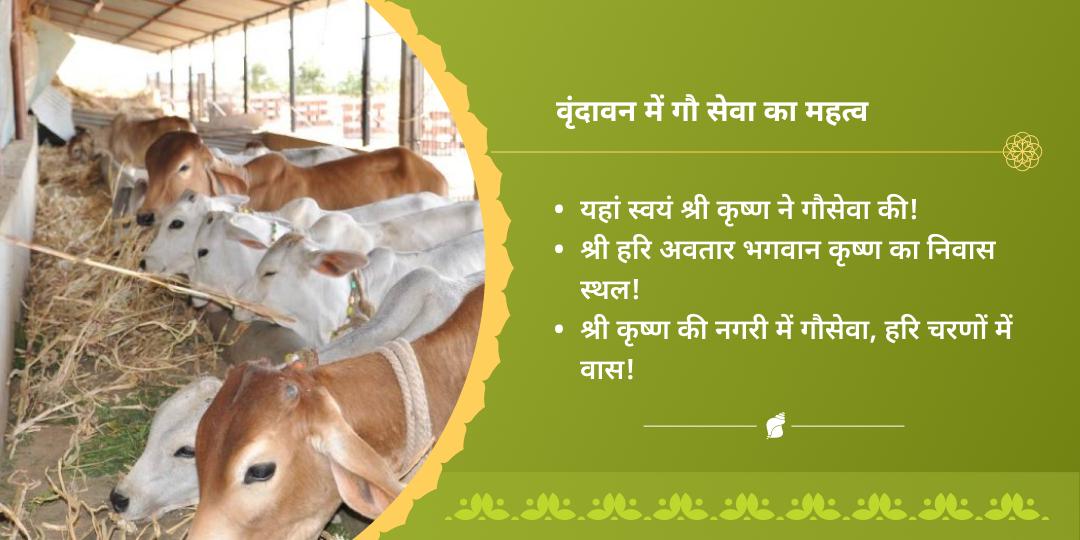 निर्जला एकादशी वृंदावन गौ सेवा