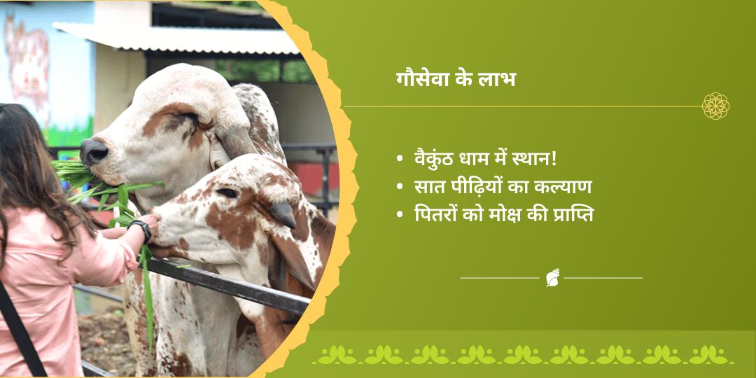 निर्जला एकादशी वृंदावन गौ सेवा