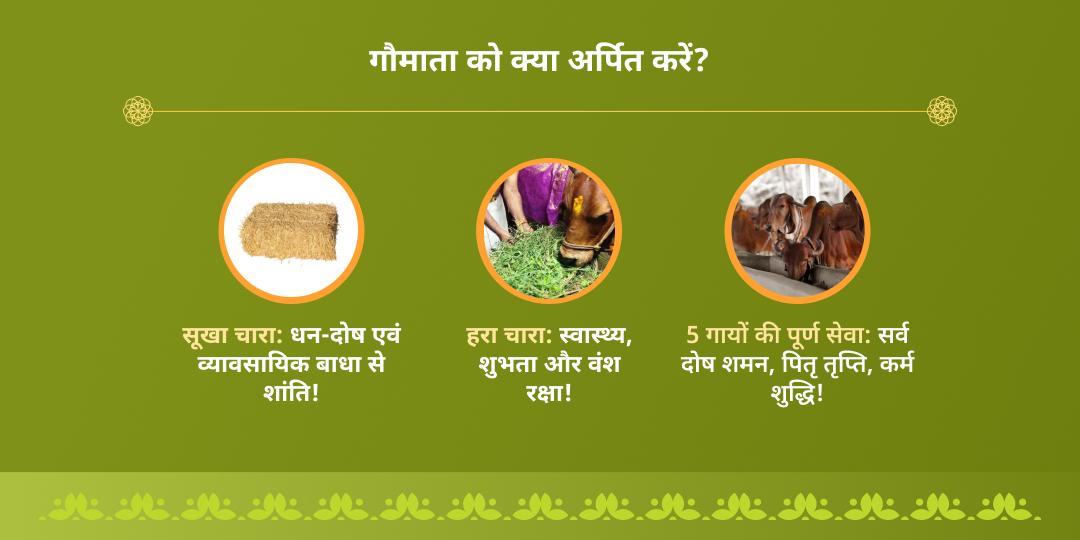 निर्जला एकादशी वृंदावन गौ सेवा