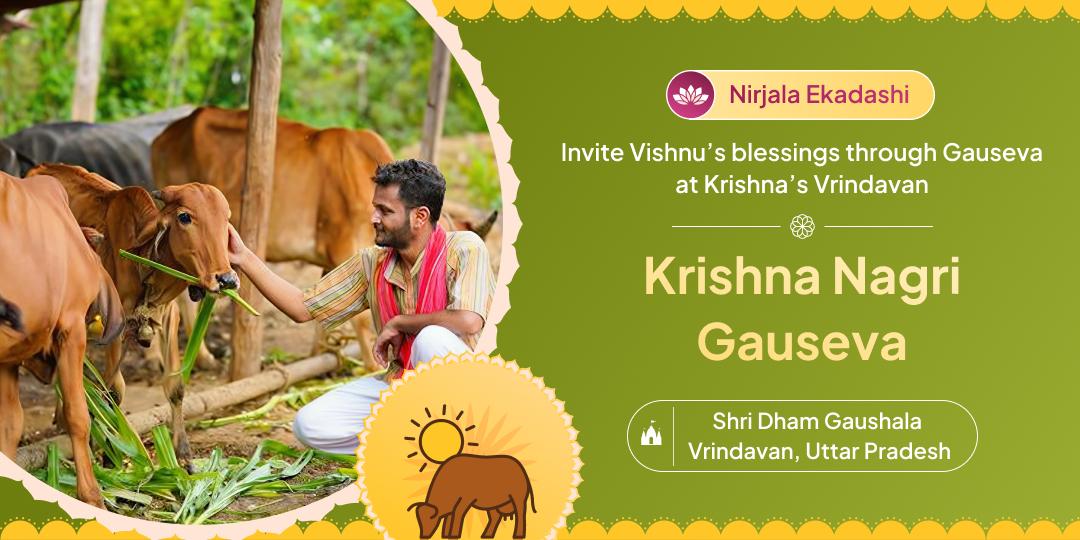 Earn punya through sacred Gauseva at Krishna’s Vrindavan on this Nirjala Ekadashi!