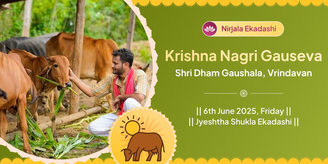 Nirjala Ekadashi Special Vrindavan Gau Seva