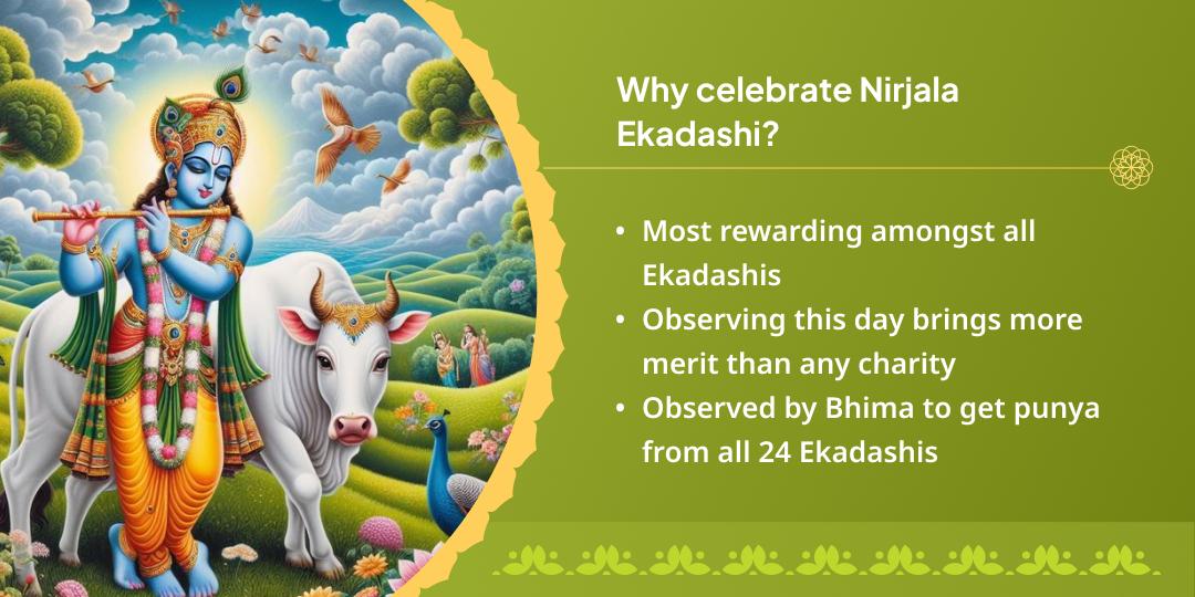 Nirjala Ekadashi Special Vrindavan Gau Seva