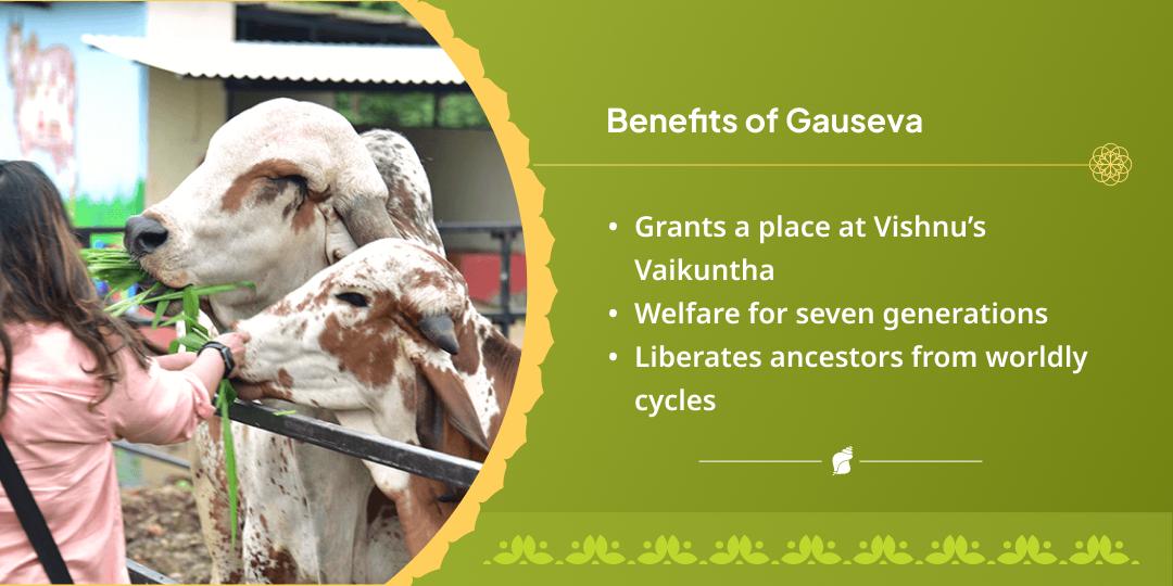 Nirjala Ekadashi Special Vrindavan Gau Seva