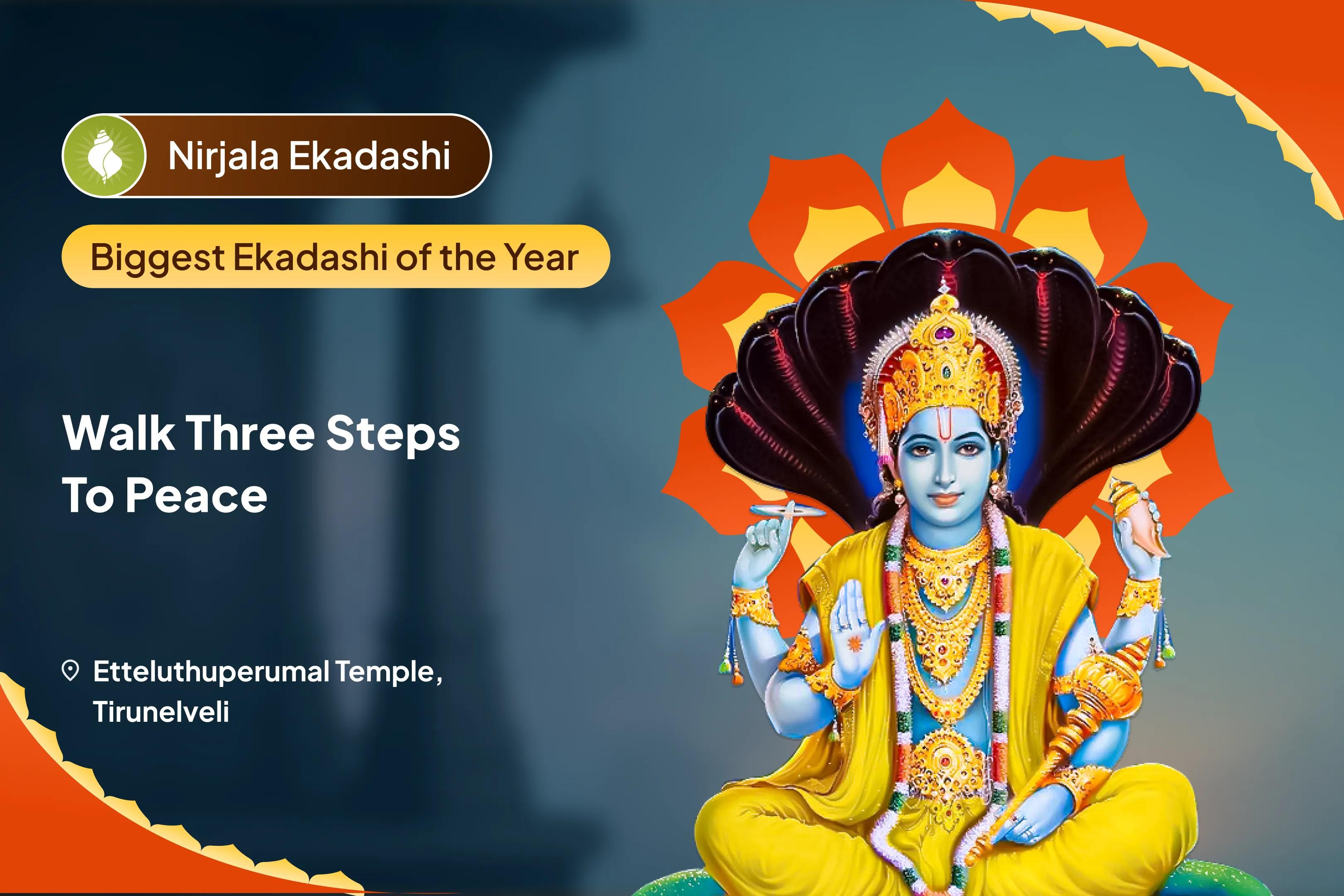 Ekadashi Traya Paap Kshaya Anushthan – Body, Mind & Soul Healing 3-Ekadashi – Vishnu Paath and Yagya for Nirjala, Yogini & Devashayani for Protection from Misfortune, Fear, and Emotional Stress
