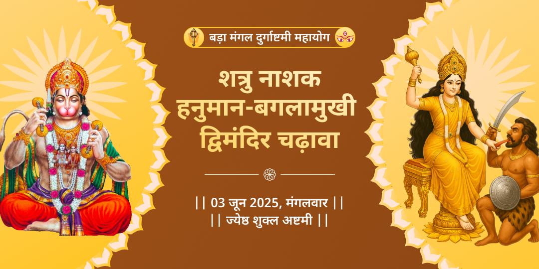 बड़ा मंगल दुर्गाष्टमी विशेष हनुमान-बगलामुखी चढ़ावा