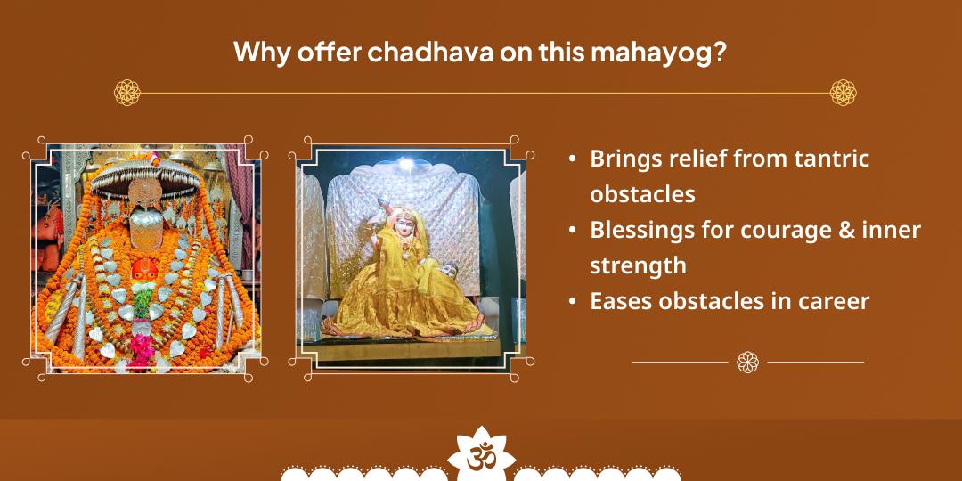 Bada Mangal Durgashtami Special Hanuman-Baglamukhi Chadhava