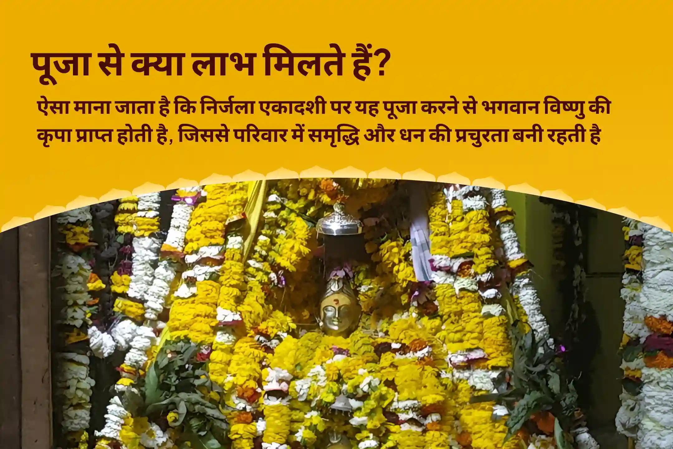 परिवार में समृद्धि और धन की प्रचुरता के आशीर्वाद के लिए निर्जला एकादशी – शुभ विवाह काल विशेष  विष्णु पूजा और हवन