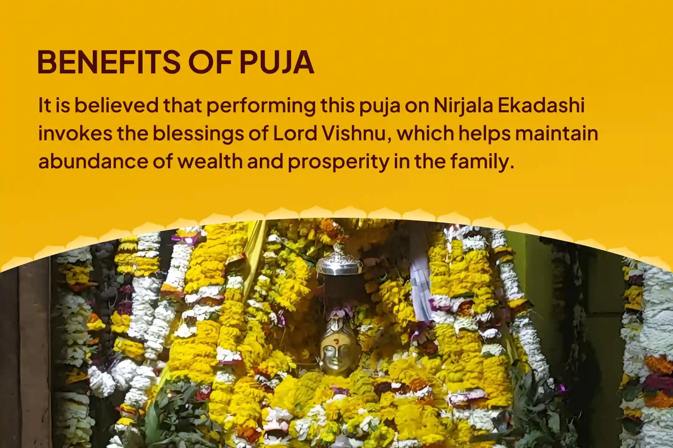 Nirjala Ekadashi Wealth & Prosperity Special Vishnu Puja & Havan To invite abundant wealth and overall prosperity into the family