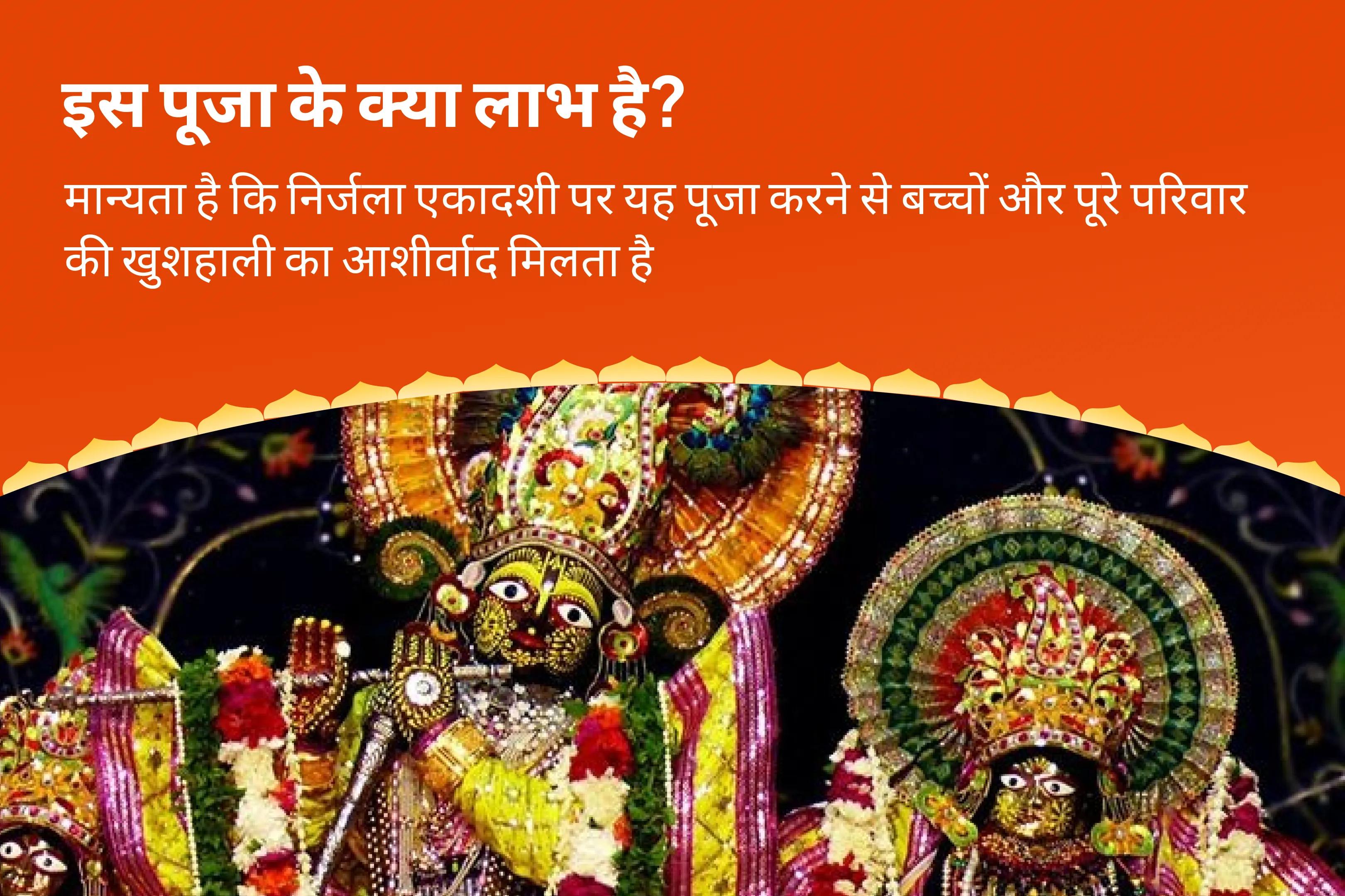 बच्चों और परिवार की भलाई के लिए निर्जला एकादशी संतान सुख परिवार समृद्धि विशेष 11,000 संतान गोपाल मंत्र जाप, श्री लड्डू गोपाल पंचामृत अभिषेक, संतान सुख प्राप्ति हवन