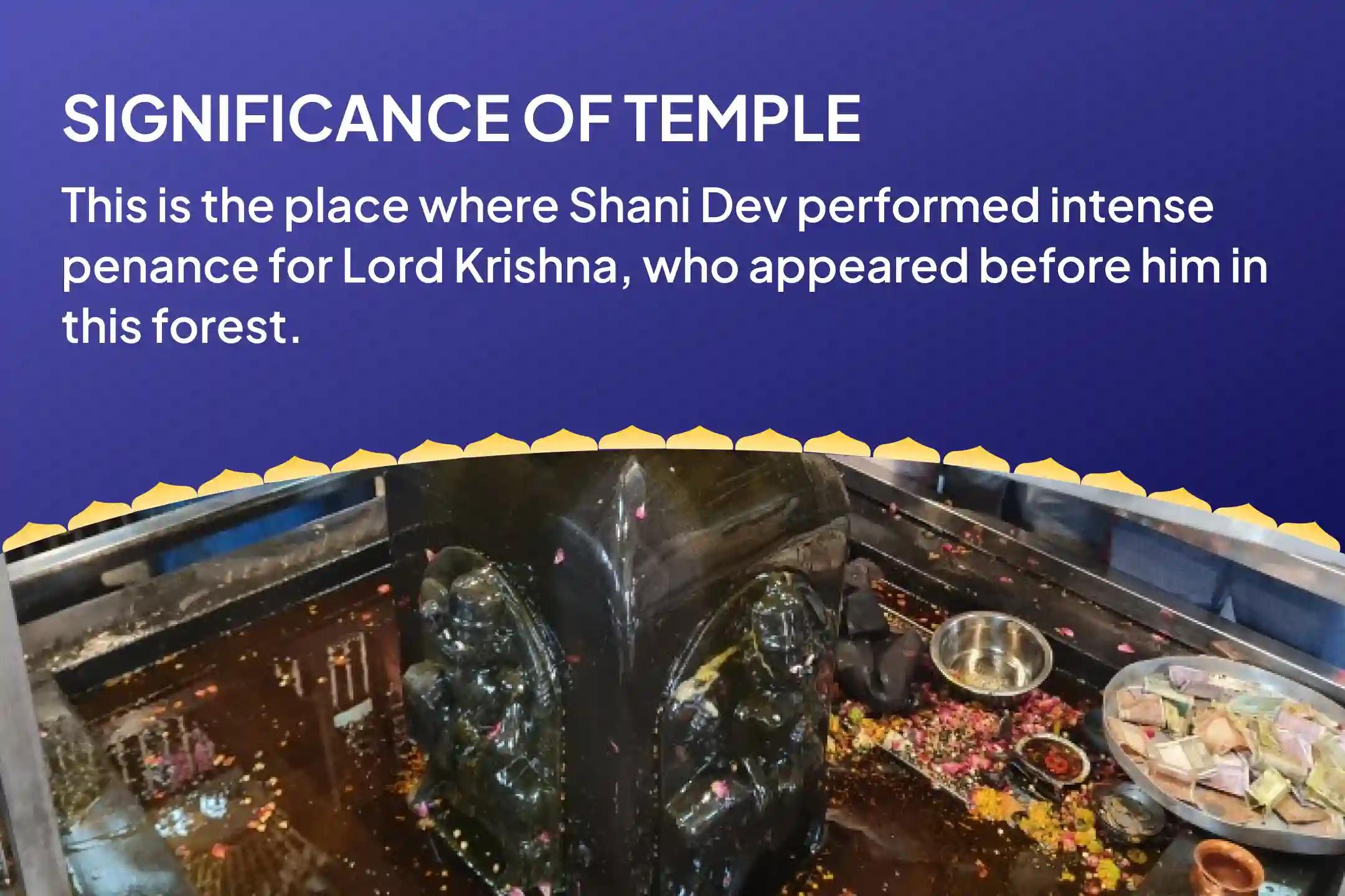 Saturday Shanti Shanti Archana Special Shani Shila Til Tel Abhishek and Peepal Tree Archana For Relief from Adversities, Misfortunes and Delays
