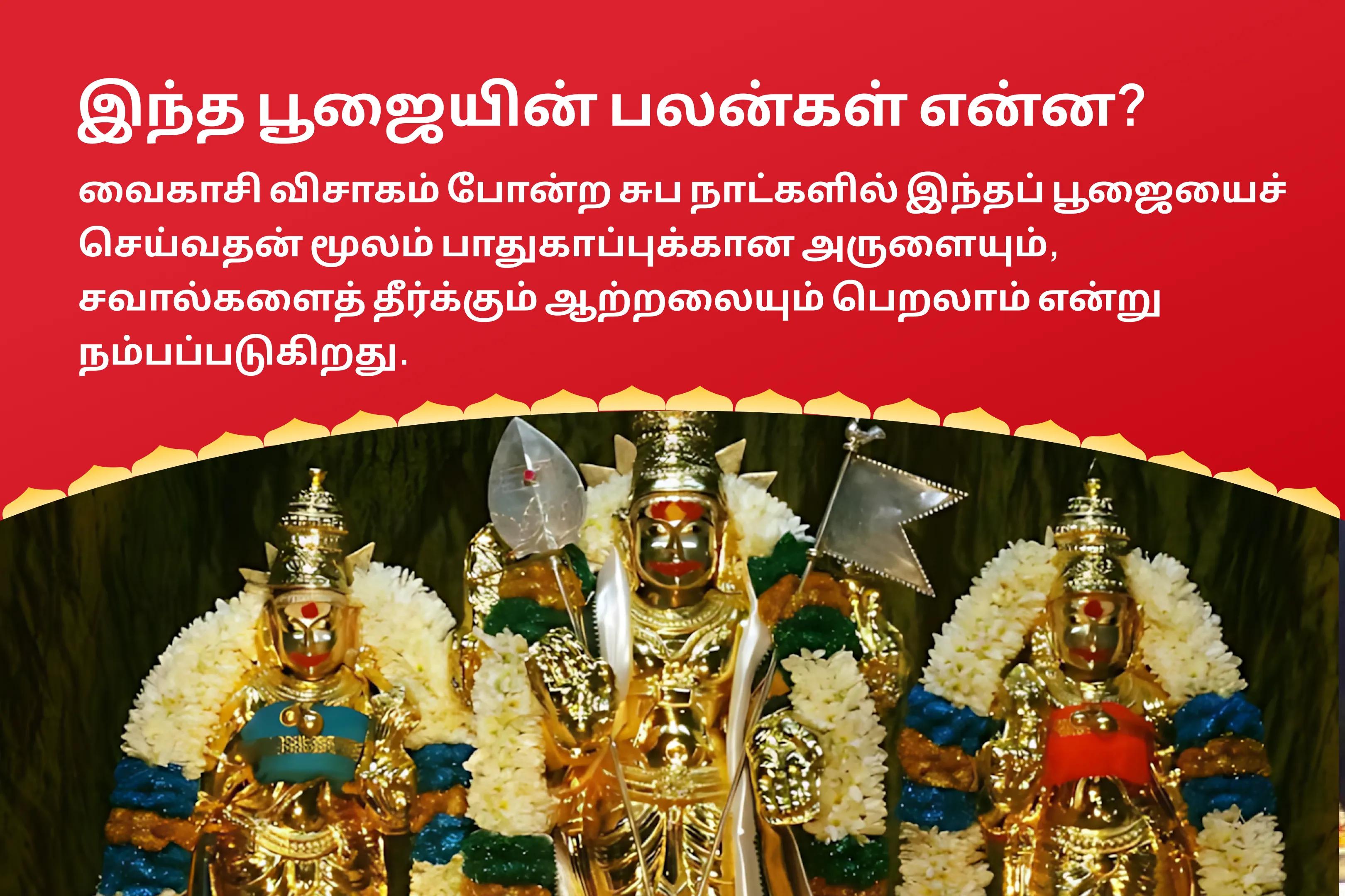 தமிழ்நாடு சிறப்பு வைகாசி விசாகம் மாபெரும் கொண்டாட்டம் கந்த சஷ்டி கவசம், சுப்ரமணிய புஜங்கம் மற்றும் வேல் அர்ச்சனை முருகப்பெருமானின் பாதுகாப்புக்காகவும் சவால்களை எதிர்கொண்டு தீர்வு காணவும்