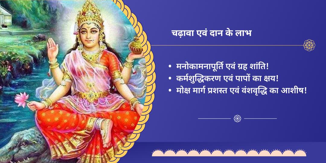 गंगा दशहरा हरिद्वार चढ़ावा महादान