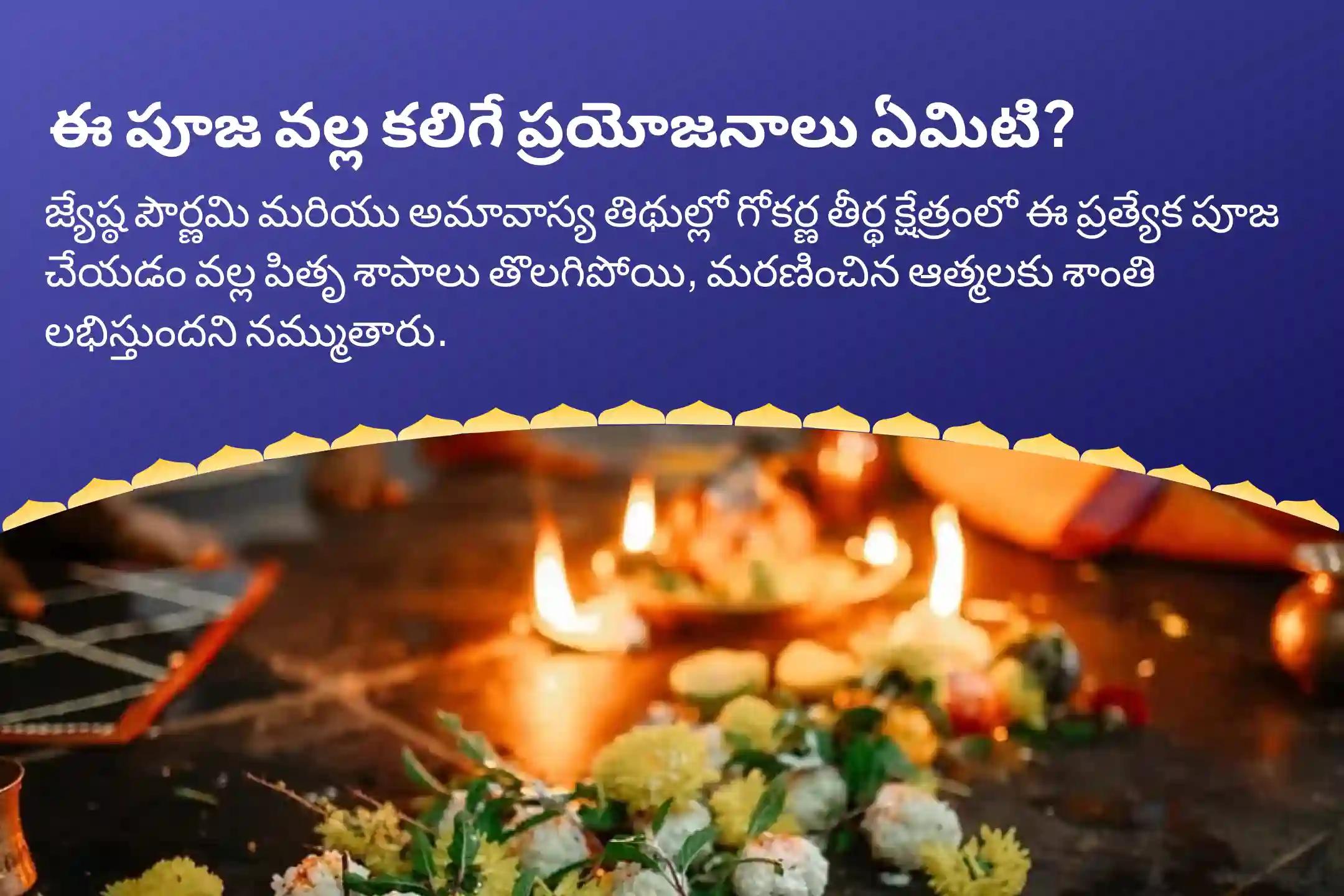 పౌర్ణమి మరియు అమావాస్య కాంబో స్పెషల్ నారాయణ బలి, త్రిపిండి శ్రాద్ధం మరియు తిల హోమం పితృల శాపాల నుండి విముక్తి, మరణించిన ఆత్మలకు శాంతి కోసం