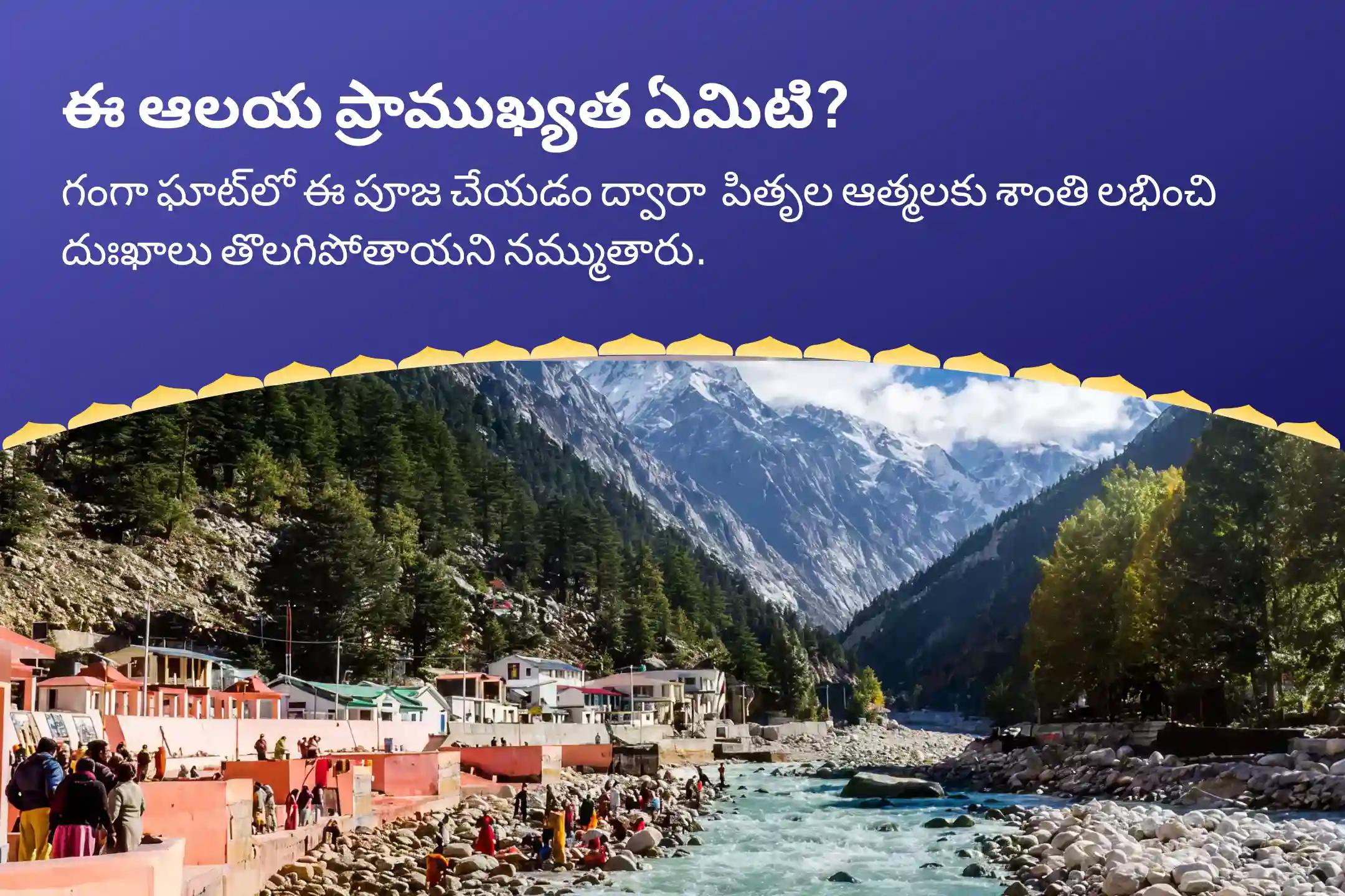 పితృ దోష శాంతి గంగా ఘాట్ స్పెషల్ నారాయణ బలి, నాగ బలి మరియు పితృ శాంతి మహాపూజ​ మీ పితృల శాంతి కోసం