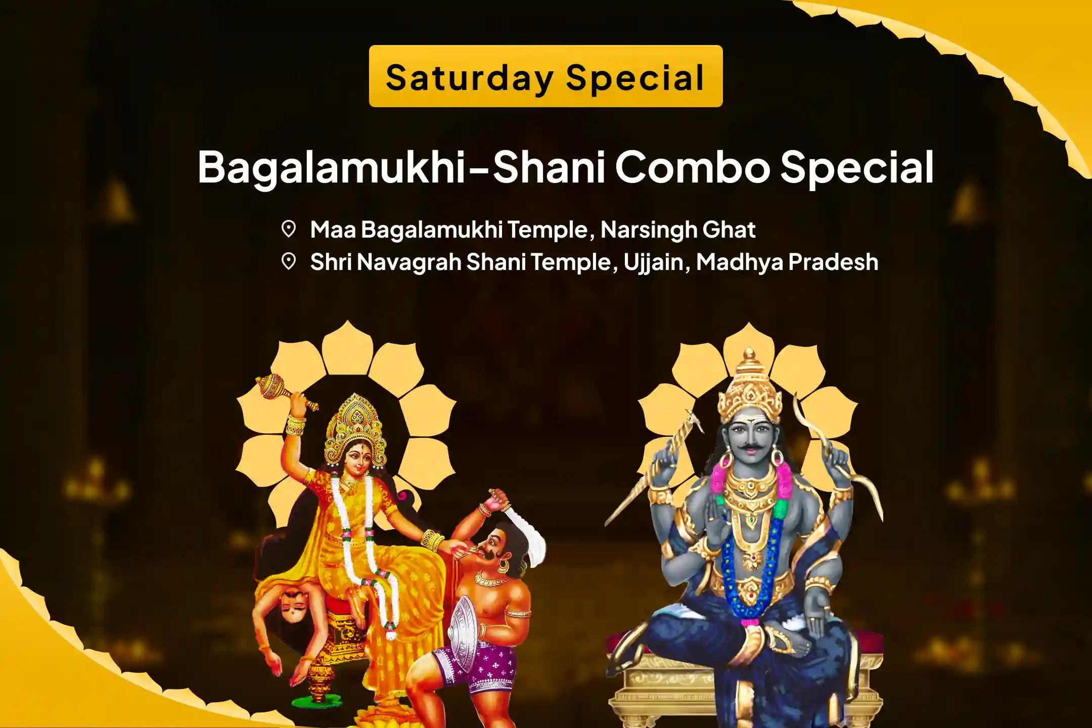 Saturday Bagalamukhi-Shani Combo Special Maa Bagalamukhi Tantra Yukta Havan and Shani Til Tel Abhishek To get Blessing for Victory over Enemies and in Court Cases 