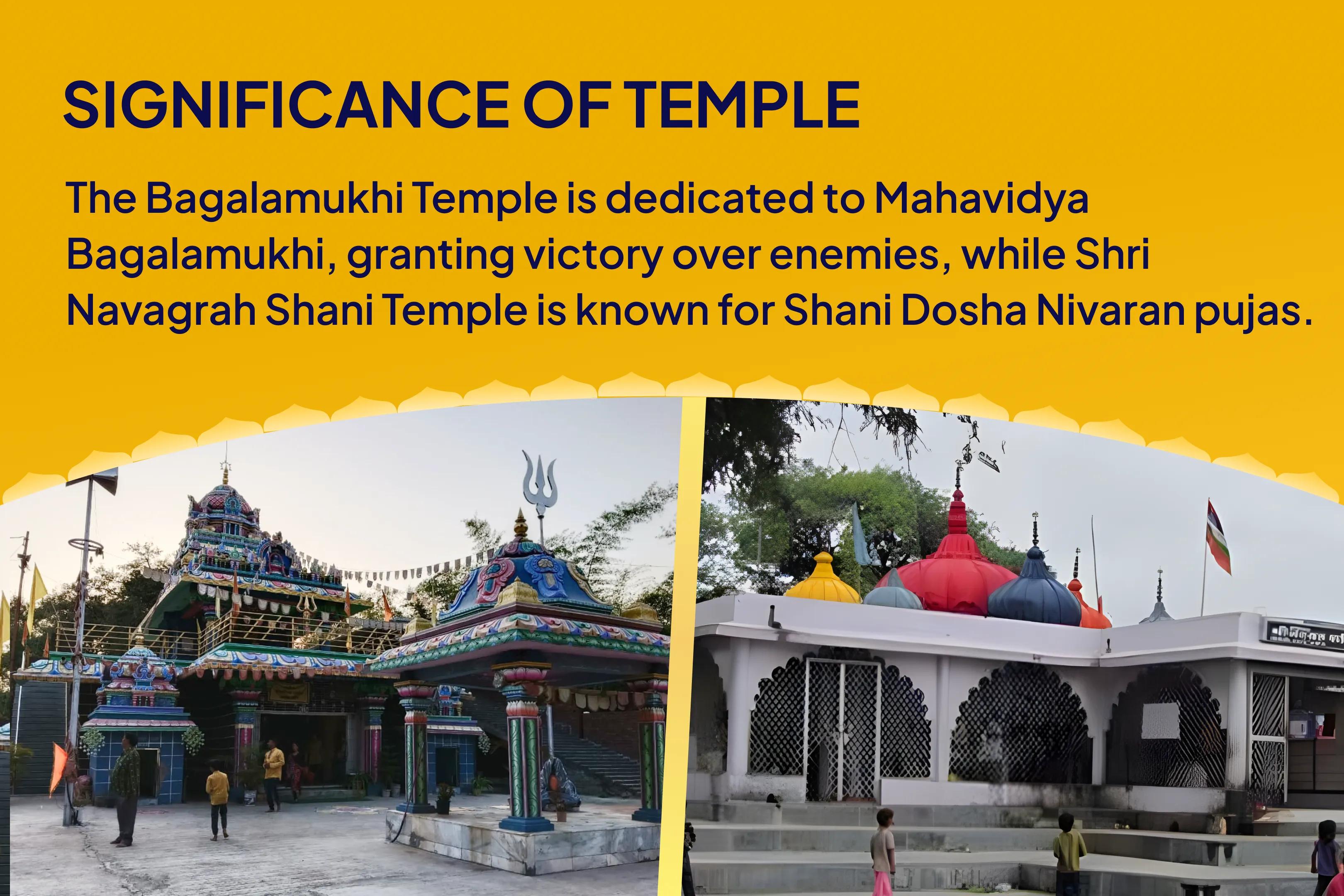 Justice and Triumph Shani-Bagalmukhi Special Legal Victory Sankalp Puja and Shani-Bagalamukhi Havan For Victory over Enemies and in Court Cases
