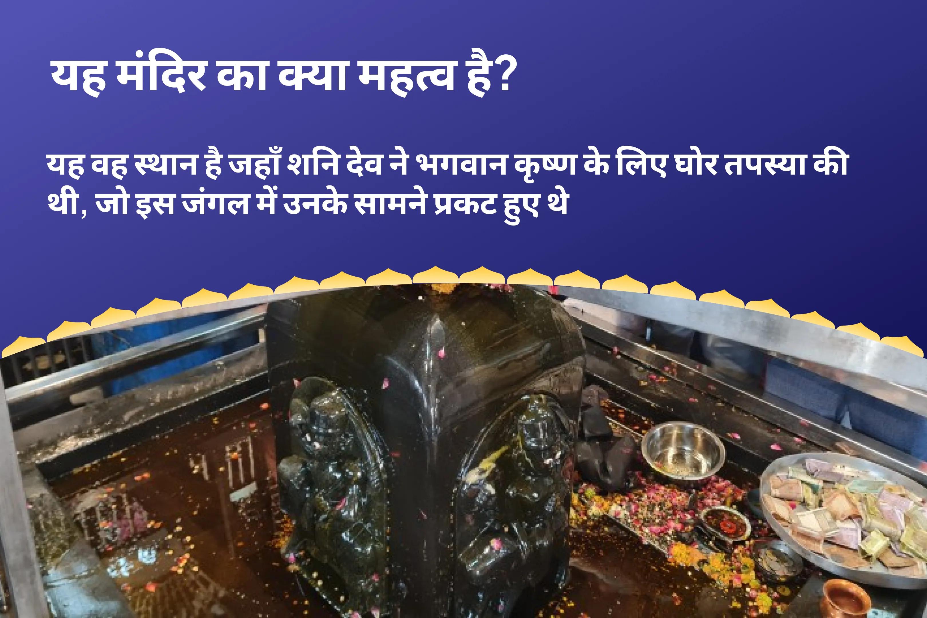 विपत्ति, दुर्भाग्य और विलम्ब से राहत के लिए शनिवार शनि शांति अर्चना विशेष शनि शिला तिल तेल अभिषेक एवं पीपल वृक्ष अर्चना