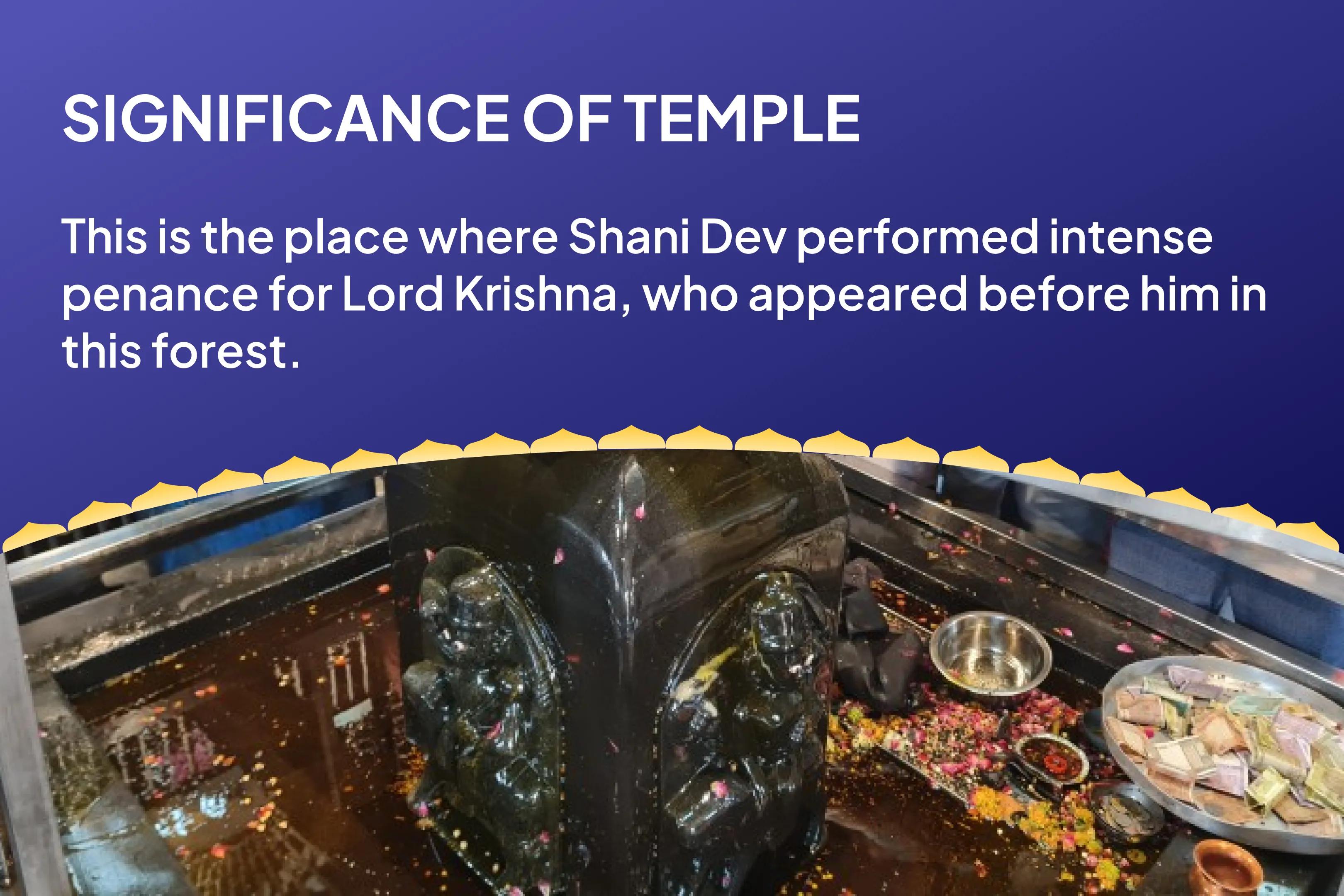  Saturday Shani Shanti Archana Special  Shani Shila Til Tel Abhishek and Peepal Tree Archana For Relief from Adversities, Misfortunes and Delays