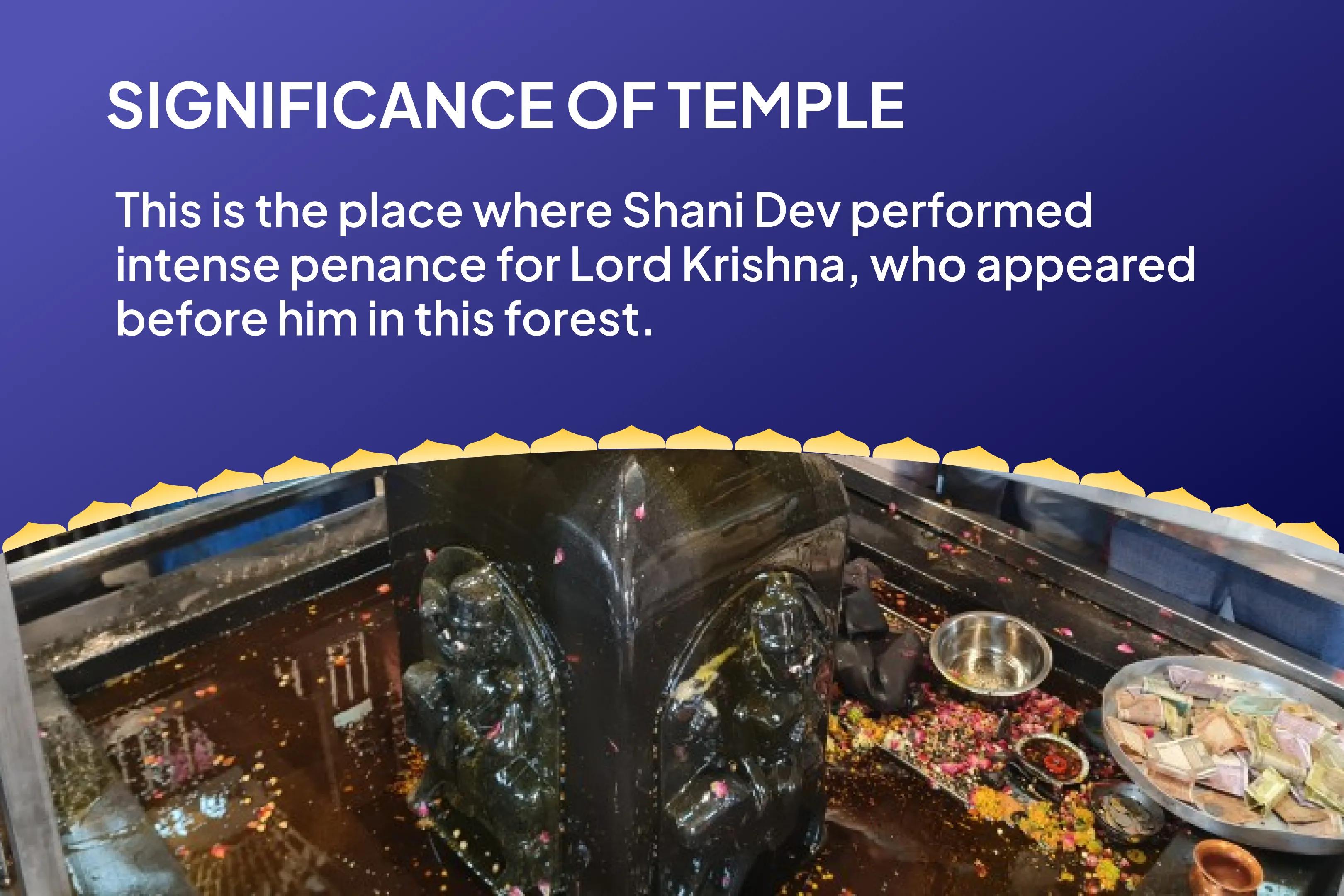 Turn Setbacks into Triumphs with Shani’s Blessings! Shani Shanti Mahapuja and Yagya for Overcoming Challenges and Adversities in Life