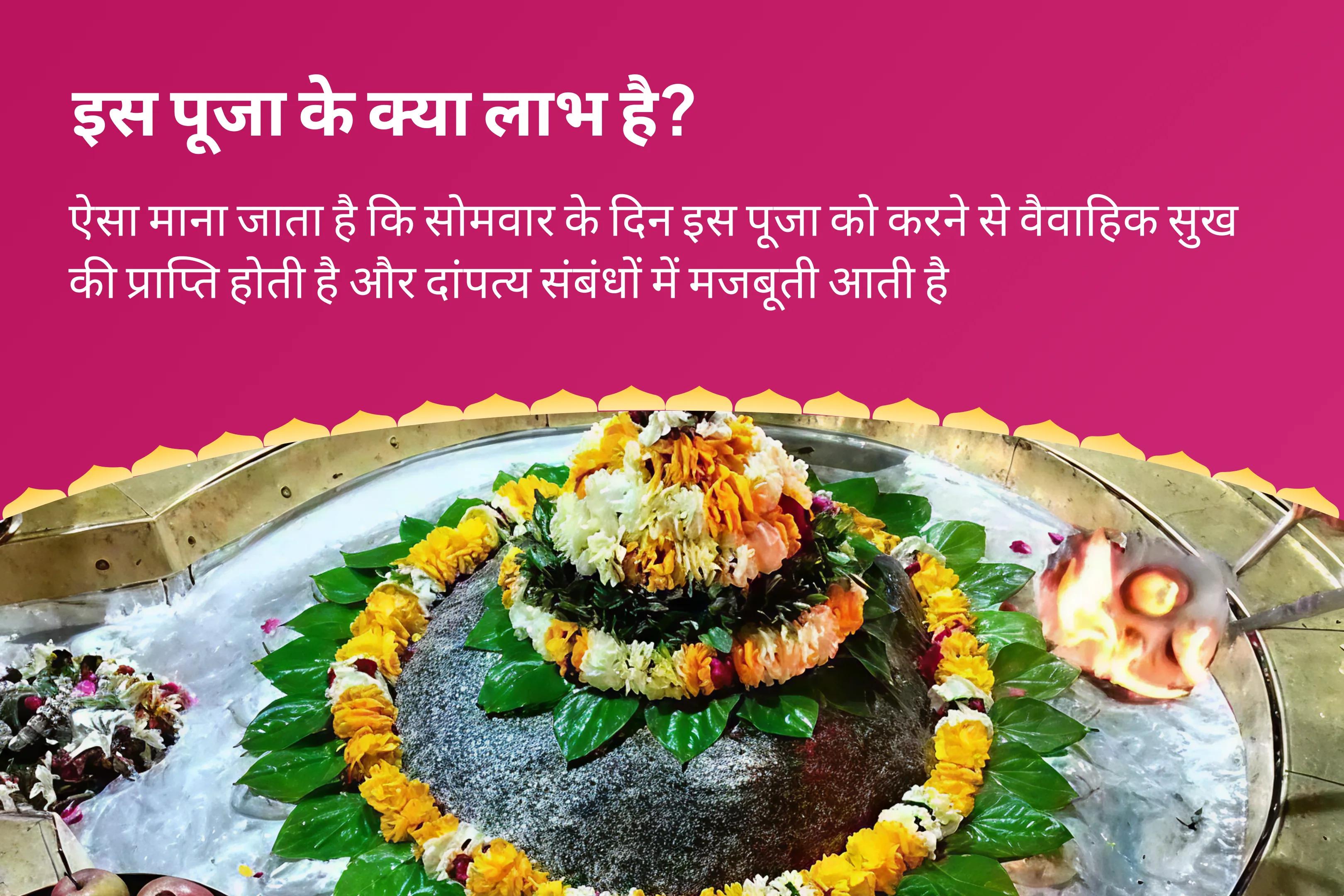 वैवाहिक आनंद और रिश्ते को मजबूत बनाने के लिए दिव्य शिव-शक्ति ऊर्जा का अनुभव करें – काशी विशेष शिव पार्वती विवाह पूजा, देवी महात्म्य पाठ और अर्धनारीश्वर पूजा