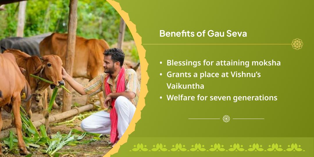 Masik Krishna Janmashtami Krishna Nagari Gau Seva
