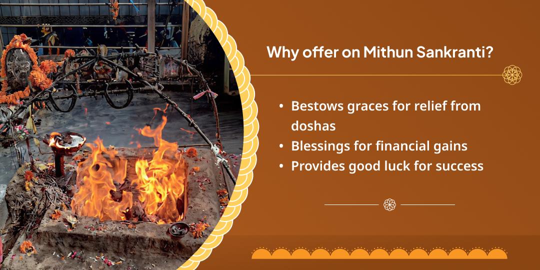 Surya Sankranti Surya Graha Shanti Hawan Ahuti Daan
