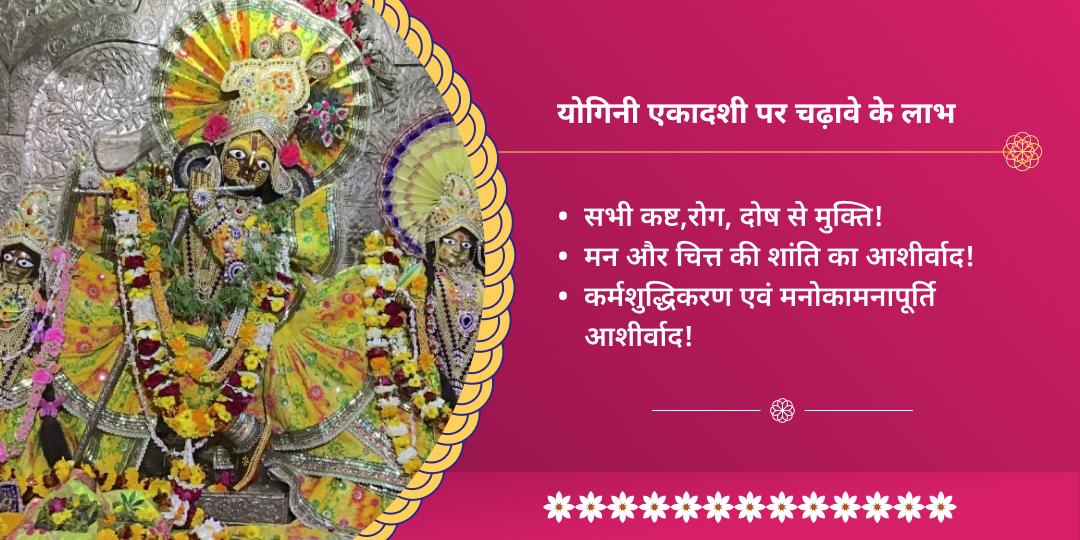 योगिनी एकादशी वृंदावन राधा दामोदर धाम चढ़ावा