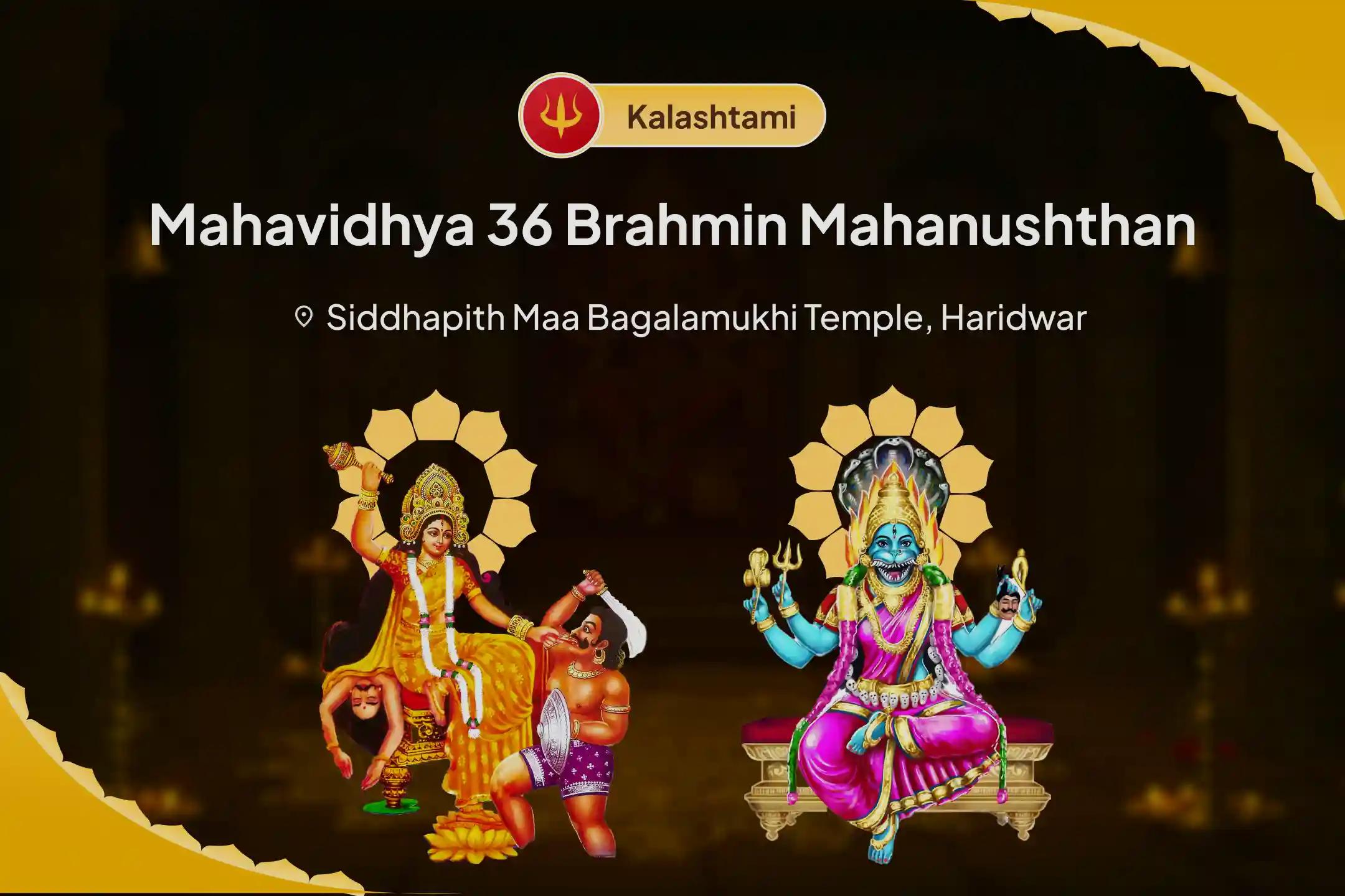 Kalashtami Mahavidhya 36 Brahmin Mahanushthan Bagalamukhi-Pratyangira Kavach Path, 1,25,000 Bagalamukhi Mool Mantra Jaap and Havan for Devi's Protection to Repel Malevolent Energies and Negative Influences