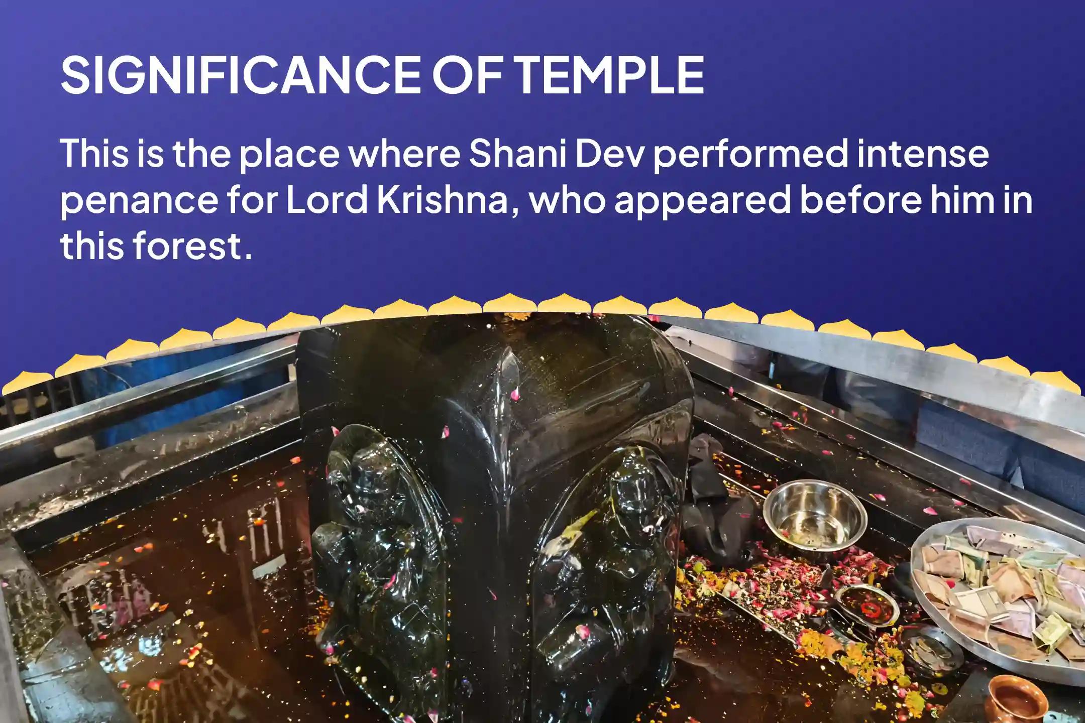 Saturday Peepal Tree Shani Shila Sthapana Special Shani Kavach Stotra Path, Krishna Govinda Mantra Jaap, and Shani Shanti Yagya Best Remedy for Saade Saati and Dhaiya Afflictions