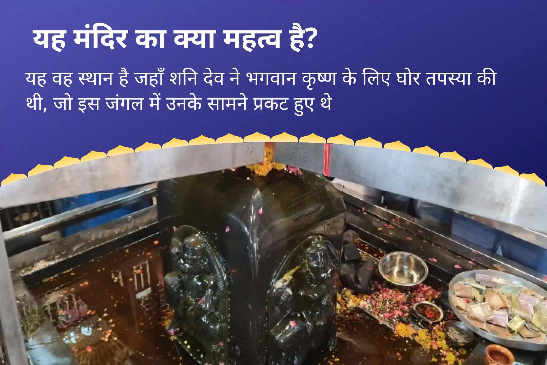 जीवन में चुनौतियों और बाधाओं पर नियंत्रण का आशीष पाने के लिए शनि के आशीर्वाद से असफलता को जीत में बदलें। शनि शांति महापूजा एवं यज्ञ