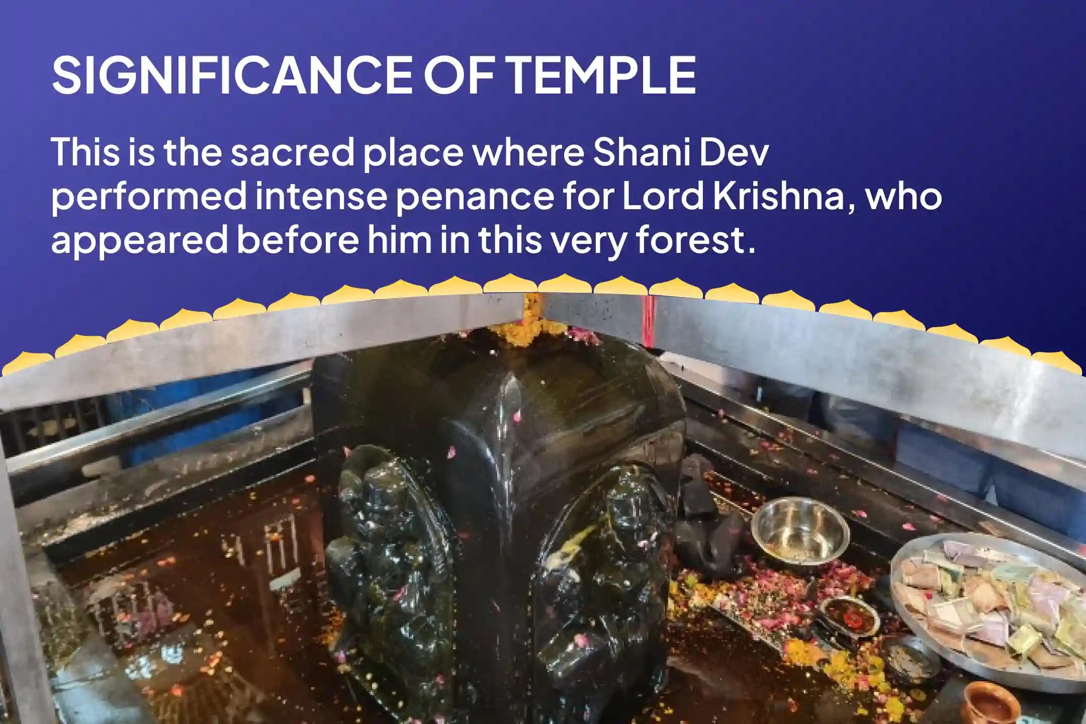 Turn Setbacks into Triumphs with Shani’s Blessings! Shani Shanti Mahapuja and Yagya for Overcoming Challenges and Adversities in Life