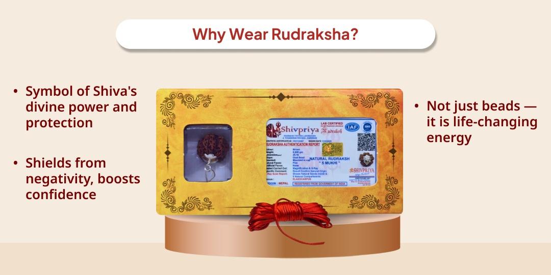 Infused with Shivtatva: Panchmukhi & Saptamukhi Rudraksha — Home Delivery Service