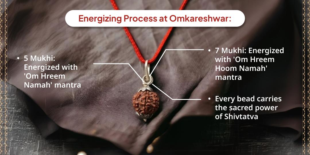 Infused with Shivtatva: Panchmukhi & Saptamukhi Rudraksha — Home Delivery Service