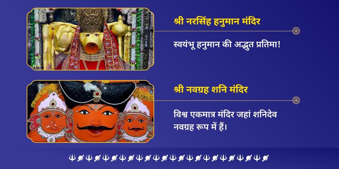शनिवार एकादशी शनि दृष्टि सुरक्षा द्विमंदिर चढ़ावा