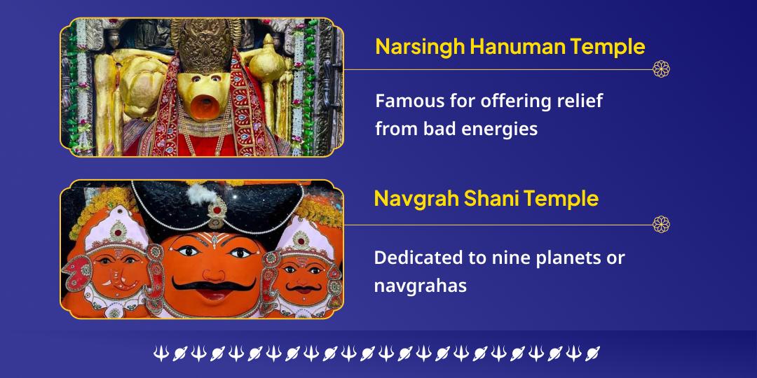Saturday Ekadashi Shani Drishti Suraksha Dual Temple Chadhava