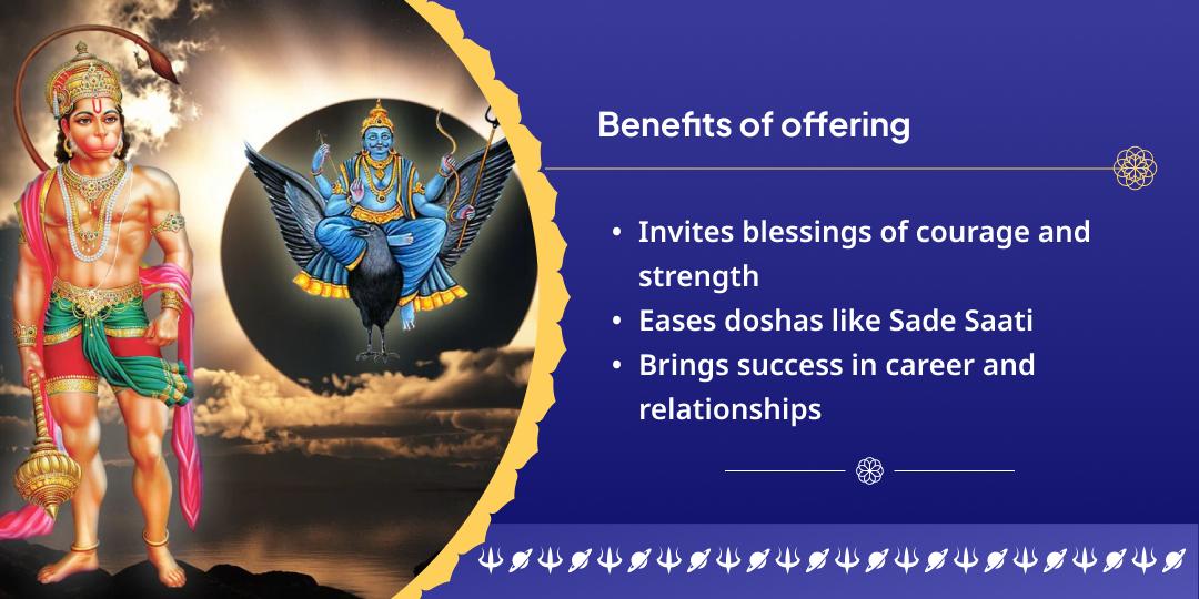 Saturday Ekadashi Shani Drishti Suraksha Dual Temple Chadhava