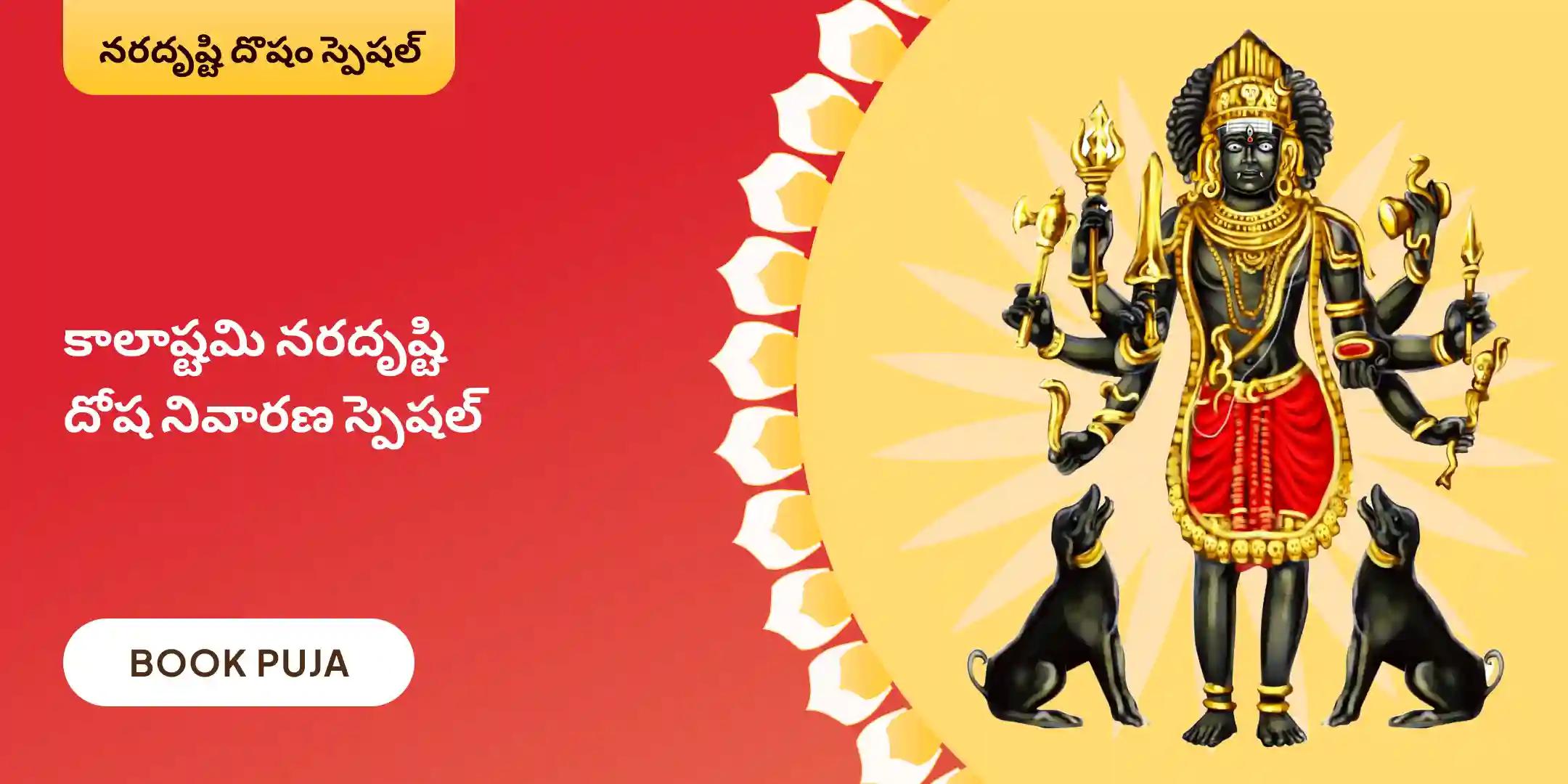 నరదృష్టి దోష శాంతి పూజ మరియు హోమం