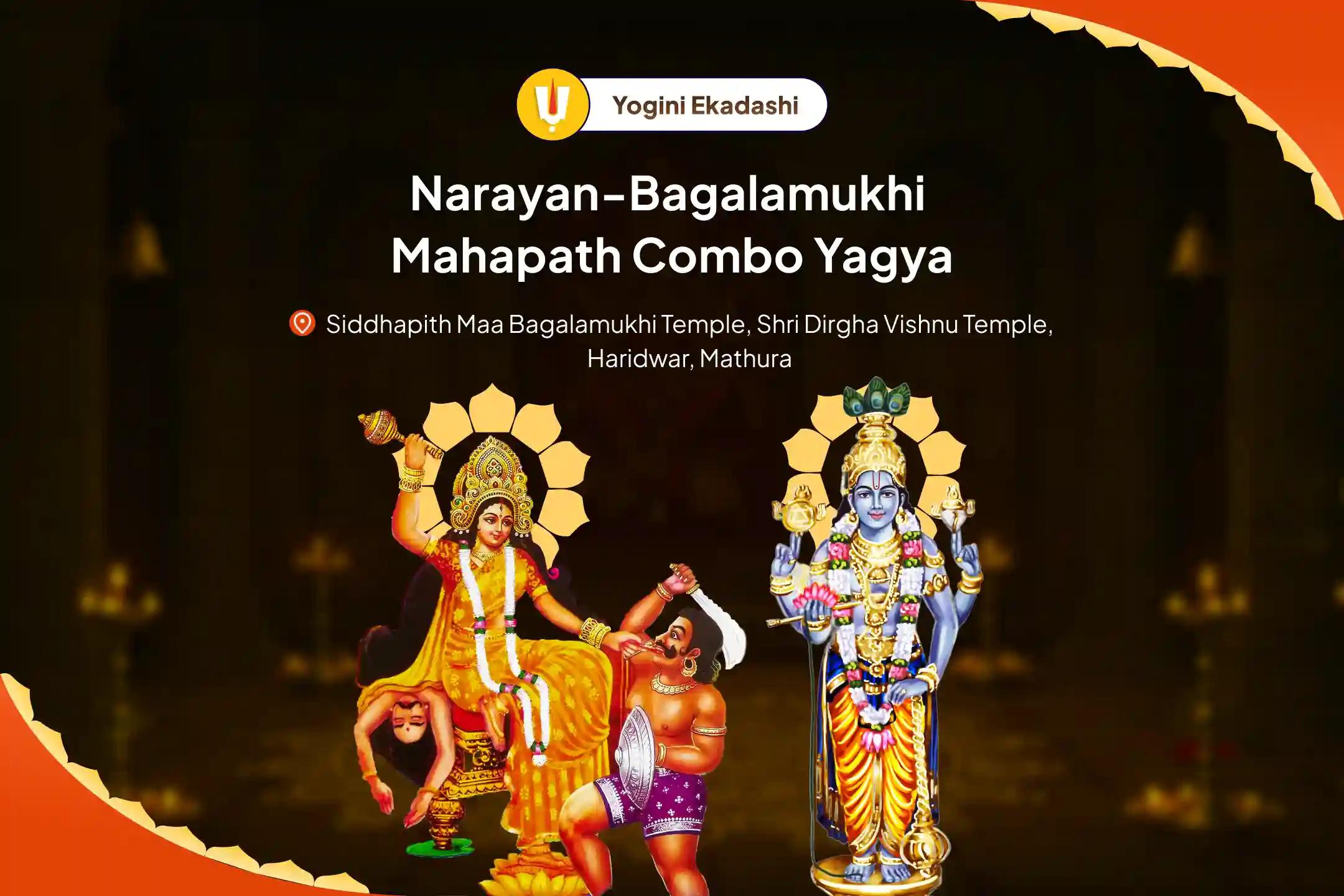 Ekadashi Narayan-Bagalamukhi Mahapath Combo Yagya 36,000 Maa Bagalamukhi Mantra Jaap and Narayan Sudarshan Kavacham Yagya For Resolving Legal Battles, Ensuring Victory, and Removing Enmity