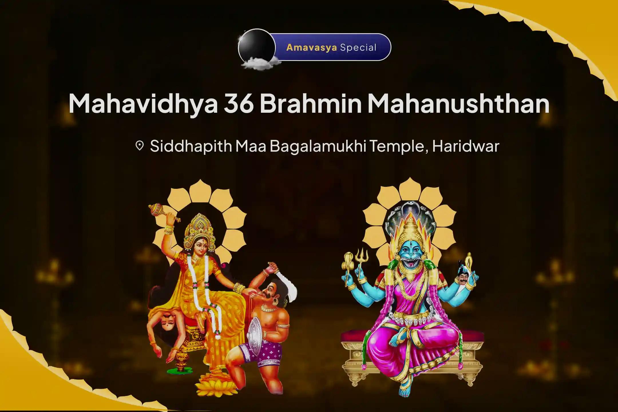 Amavasya Mahavidhya 36 Brahmin Mahanushthan Bagalamukhi-Pratyangira Kavach Path, 1,25,000 Bagalamukhi Mool Mantra Jaap and Havan for Devi's Protection to Repel Malevolent Energies and Negative Influences